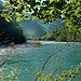 Le Verdon à travers les feuilles - Castellane par Charlottess - Castellane 04120 Alpes-de-Haute-Provence Provence France