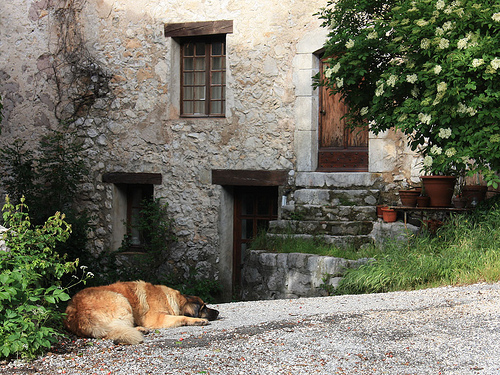 Repos au Gite de Chasteuil par Colin Bainbridge