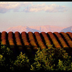 Fin d'après midi sur les champs de lavande par Patchok34 -   Alpes-de-Haute-Provence Provence France