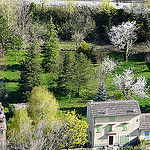 Campagne printanière by myvalleylil1 - Entrevaux 04320 Alpes-de-Haute-Provence Provence France