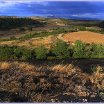 Fin de journée dans la solitude du plateau d'Entrevennes by Rhansenne.photos - Entrevennes 04700 Alpes-de-Haute-Provence Provence France