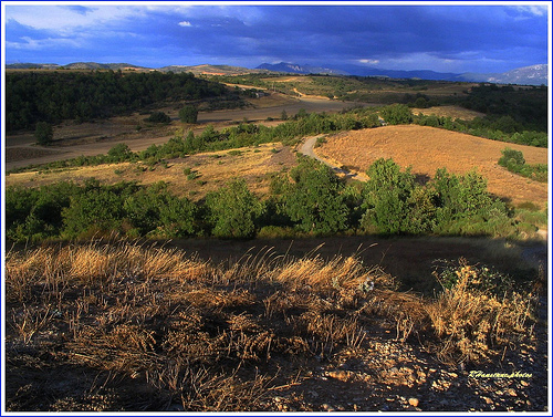 Fin de journée dans la solitude du plateau d'Entrevennes par Rhansenne.photos