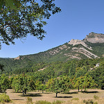 Les poiriers - Hautes-Duyes by Charlottess - Hautes Duyes 04380 Alpes-de-Haute-Provence Provence France