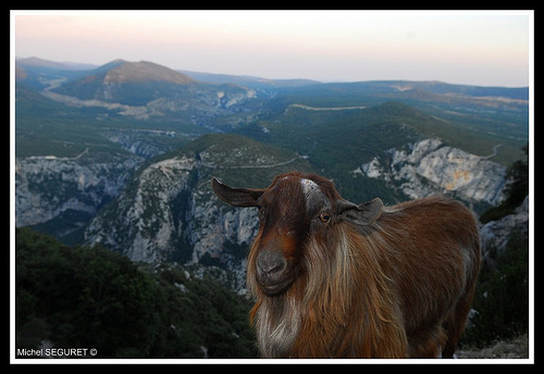 Rencontre dans les Gorges du Verdon by michel.seguret