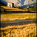 Contrastes au Col de l'ourme / Estrop par Michel-Delli - Le Brusquet 04420 Alpes-de-Haute-Provence Provence France