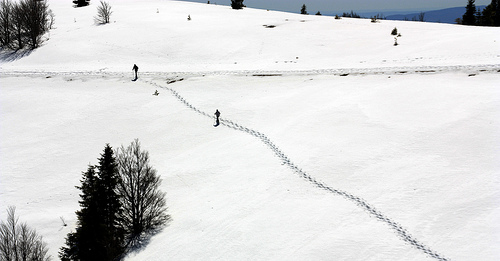 Montagne de Lure par J.P brindejonc