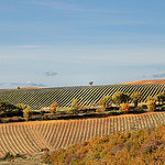 Paysage en rayures - Malijai par Charlottess - Malijai 04350 Alpes-de-Haute-Provence Provence France
