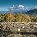 Moutons de Mallefougasse par Patrick RAYMOND - Mallefougasse Augès 04230 Alpes-de-Haute-Provence Provence France
