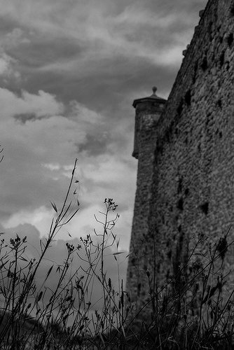 Tour de guet du château de Mane by CTfoto2013