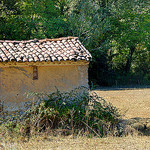 Les moutons font la sieste by Charlottess - Mezel 04270 Alpes-de-Haute-Provence Provence France