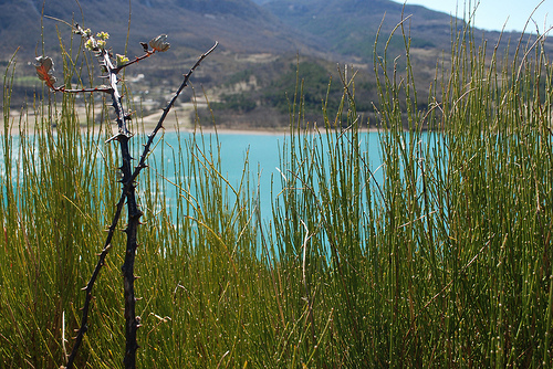 contraste vert / bleu par Mattia_G