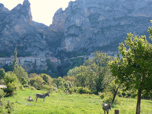 Moustiers-Sainte-Marie à l'ombre, et ses anes au soleil par Locations Moustiers