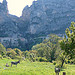 Moustiers-Sainte-Marie à l'ombre, et ses anes au soleil by Locations Moustiers - Moustiers Ste. Marie 04360 Alpes-de-Haute-Provence Provence France