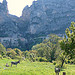 Moustiers-Sainte-Marie à l'ombre, et ses anes au soleil par Locations Moustiers - Moustiers Ste. Marie 04360 Alpes-de-Haute-Provence Provence France