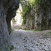Gorges d'Oppedette formées par la rivière Calavon par Serge Robert 984 - Oppedette 04110 Alpes-de-Haute-Provence Provence France