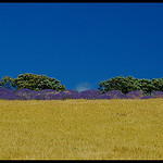 Contraste de Provence par Patchok34 - Revest du Bion 04150 Alpes-de-Haute-Provence Provence France