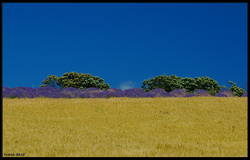 Contraste de Provence by Patchok34