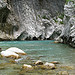 Au fond du canyon par myvalleylil1( in vacation for 2 weeks) - Rougon 04120 Alpes-de-Haute-Provence Provence France