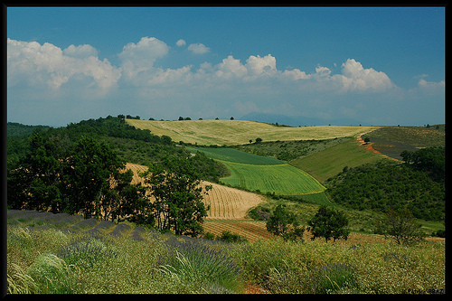 Patchwork de Provence by Patchok34