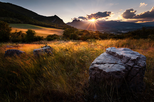 Blurred Fields by DBPhotographe