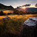 Blurred Fields par DBPhotographe - Sisteron 04200 Alpes-de-Haute-Provence Provence France