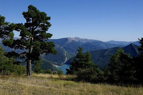 Vue sur le lac de Castillon par Géo-photos