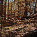 Bois, Chapelle de Lure by Patrick.Raymond - St. Etienne les Orgues 04230 Alpes-de-Haute-Provence Provence France