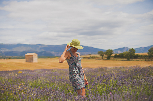 Balade au milieu des lavandes by Dri.Castro