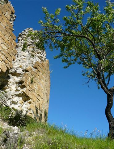 Ruines et ciel bleu à Saint Naime par Margotte apprentie naturaliste 2