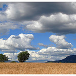 Valensole par Manuel.A.69 - Valensole 04210 Alpes-de-Haute-Provence Provence France