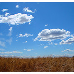 Ciel de Valensole et champs de blé par Manuel.A.69 - Valensole 04210 Alpes-de-Haute-Provence Provence France