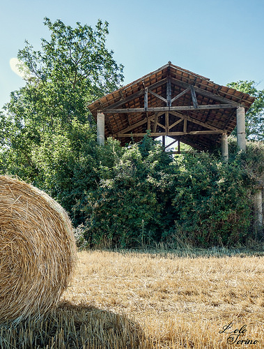 Rouleau de paille par lolotorino