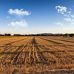 Champs moissonnés à Valensole by lolotorino - Valensole 04210 Alpes-de-Haute-Provence Provence France