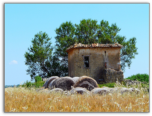 Ballots de foin en Provence par CHRIS230***