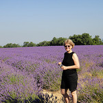 Souvenir dans les Lavandes par csibon43 - Valensole 04210 Alpes-de-Haute-Provence Provence France