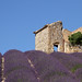 Bicoque provençale avec vue par chris couderc - Valensole 04210 Alpes-de-Haute-Provence Provence France