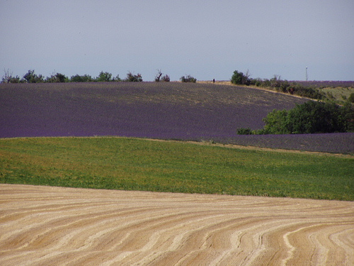 Jeux de couleurs provençal par Locations Moustiers