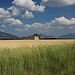Plateau de Valensole by Christopher Swan - Valensole 04210 Alpes-de-Haute-Provence Provence France