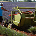 La moisson de la lavande a commencé ! par Michel Seguret - Valensole 04210 Alpes-de-Haute-Provence Provence France