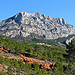 Les couleurs de la Montagne Sainte Victoire by Alpha Lima X-ray - Aix-en-Provence 13100 Bouches-du-Rhône Provence France