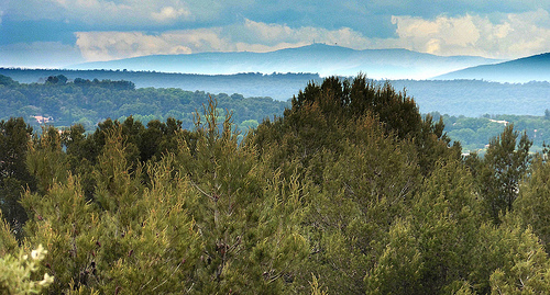 Ventoux vu du massif du Montaiguet by bruno Carrias