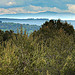 Ventoux vu du massif du Montaiguet by bruno Carrias - Aix-en-Provence 13100 Bouches-du-Rhône Provence France