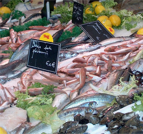 Marché : étalage de poissons par Elisabeth85