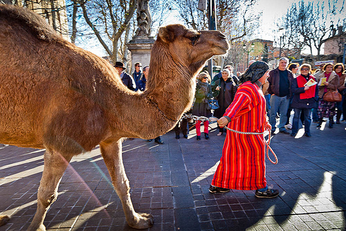 Epiphanie : La marche des Rois à Aix. by Look me Luck Photography