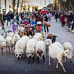 Epiphanie : La marche des Rois à Aix. par Look me Luck Photography - Aix-en-Provence 13100 Bouches-du-Rhône Provence France