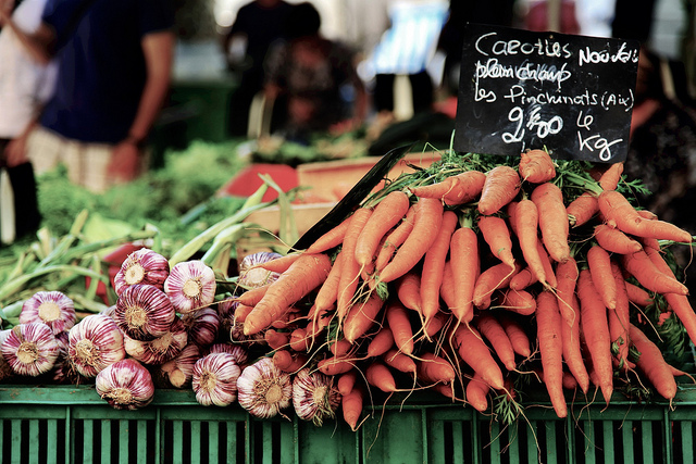 Carrots (carottes nouvelles plein champ) (Bouches-du-Rhône - Aix-en-Provence) by 6835
