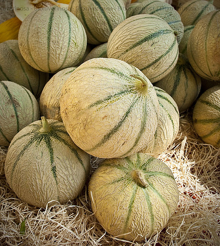 Melons de provence par Bitxuverinosa