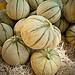 Melons de provence by Bitxuverinosa - Aix-en-Provence 13100 Bouches-du-Rhône Provence France