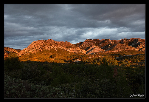 Alpilles par NeoNature