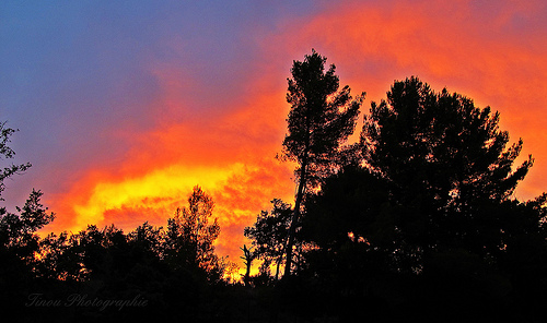 Quand le ciel de la Provence s'enflamme! by Tinou61